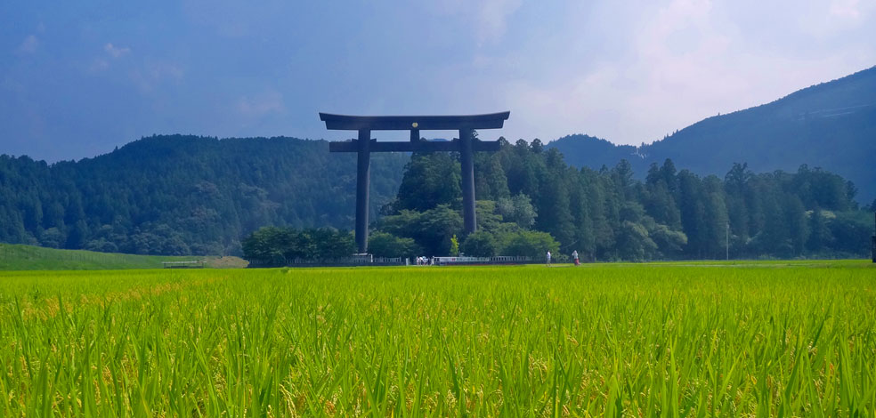 Oyunohara Torii gate in crop field kumano kodo UNESCO pilgrimage