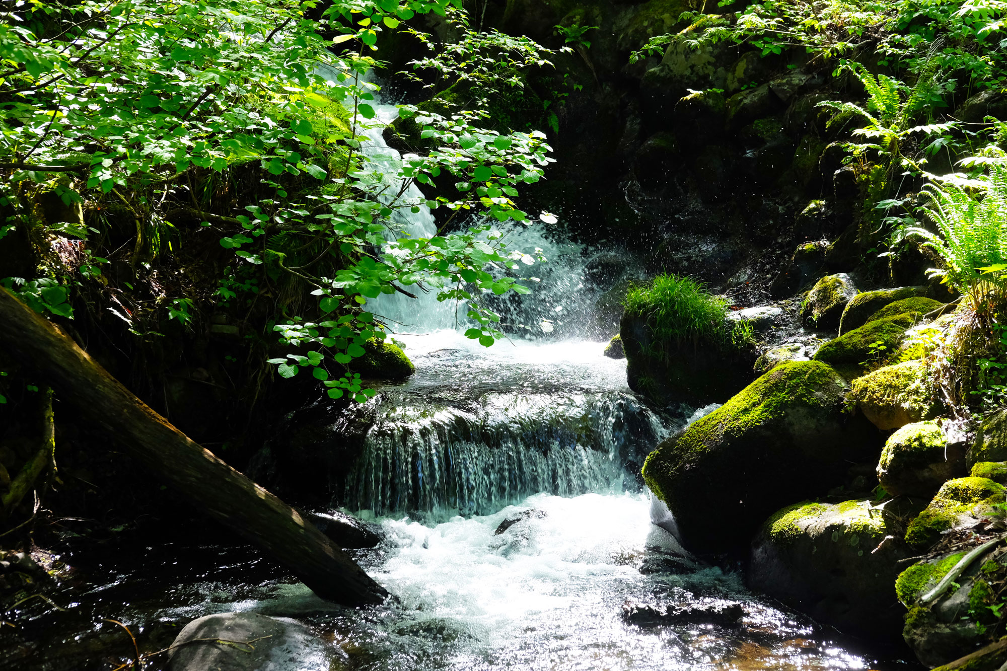4_Self-guided-salt-road-nagano-otari-stream.jpg