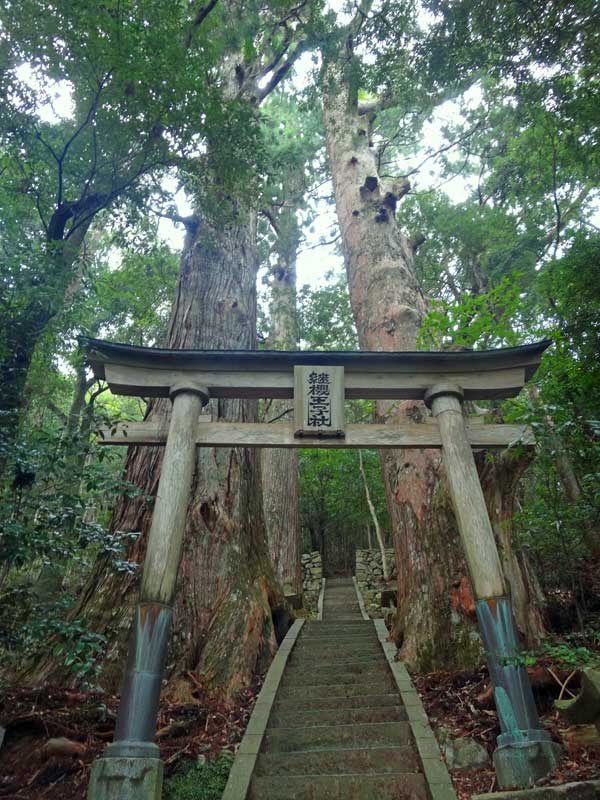 Tsugizakura Oji shrine with steps in the forest 