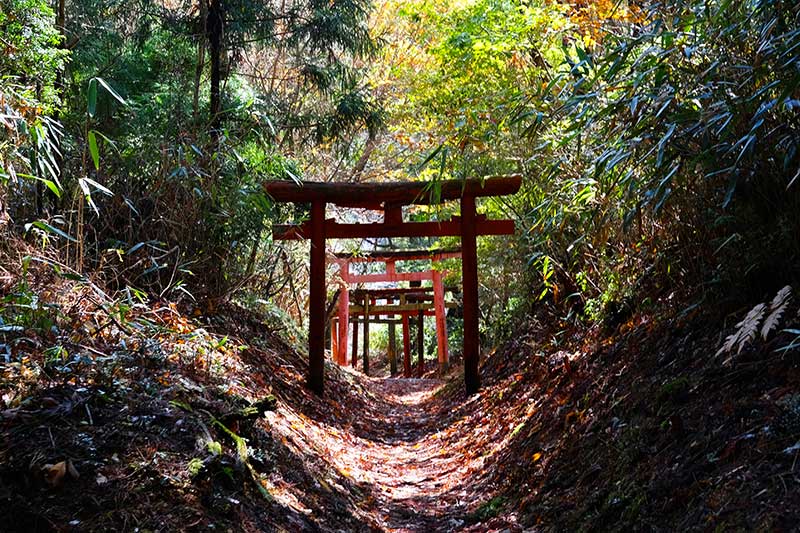 self guided Kumano Kodo through torii gate trail