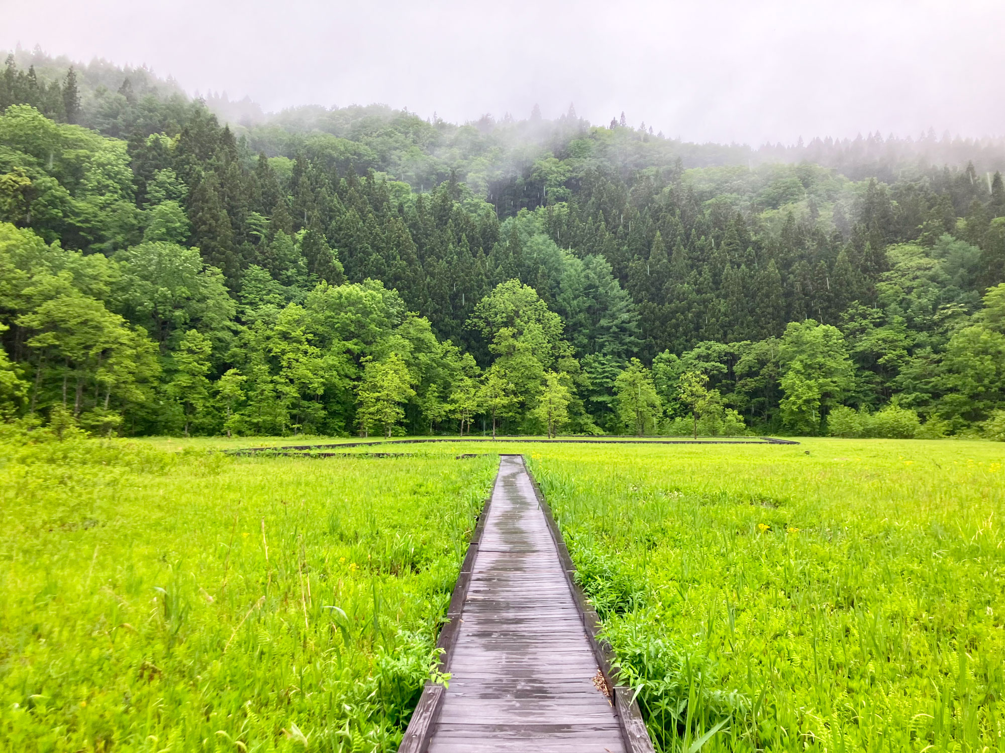 1__Self-guided-salt-road-nagano-hakuba-himekawa-genryu-boardwalk-spring.jpg