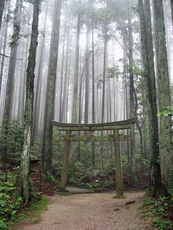 Torii gate in the woods near Magome