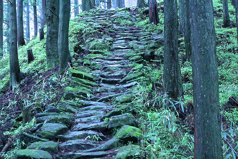 stone staircase on the Kumano Kodo trail