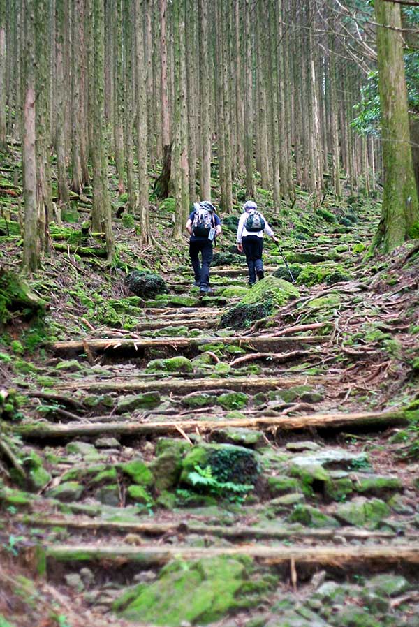 Hikers on walk japan’s Kumano Kodo wayfarer 