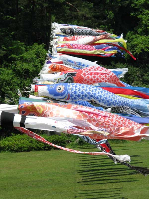 colourful flying koi banners