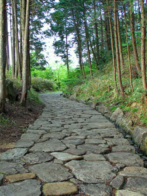 Nakasendo way wayfarer Ishidatami ancient stone path leading to Shinchaya