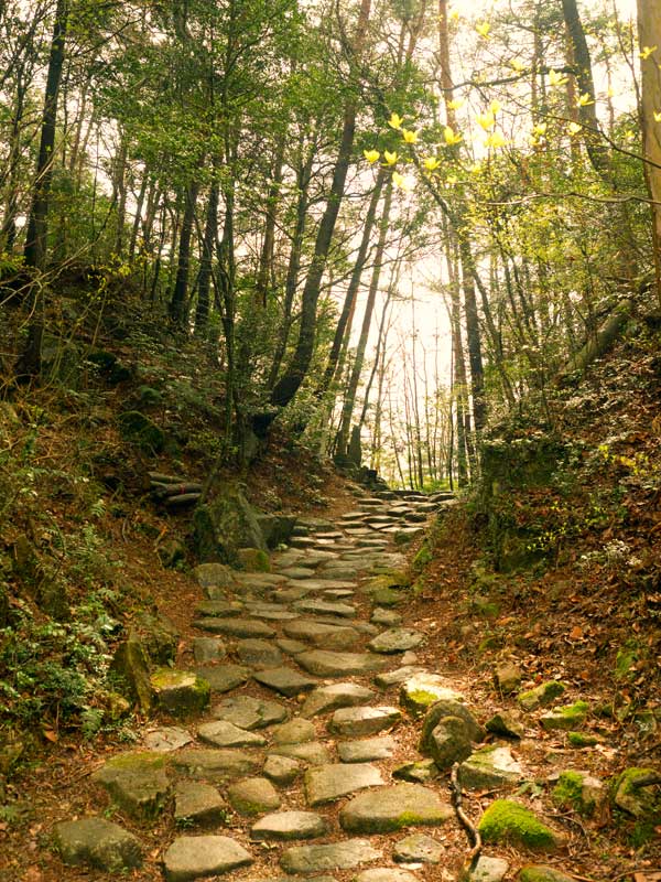  Ishidatami ancient stone path on Nakasendo Way 
