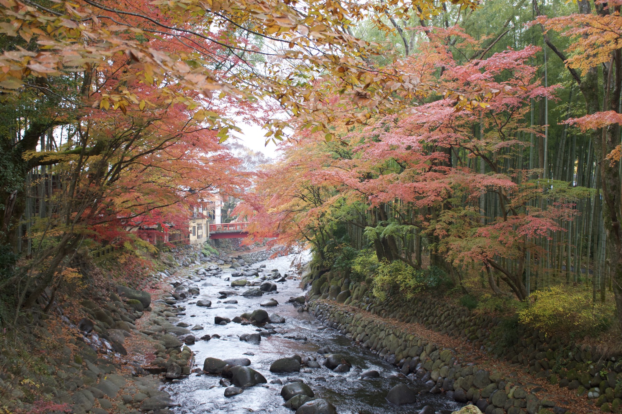 16_Self_Guided_Izu_Wayfarer_Autumn_in_Izu_Peninsula.jpg