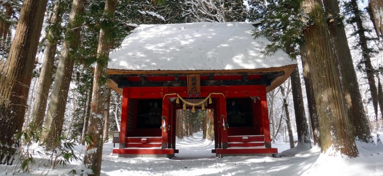 Storm blankets Tokyo with a year's worth of snow in a day